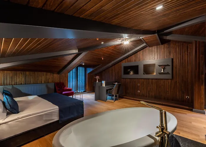 Bvs Bosphorus Pera 酒店 4*