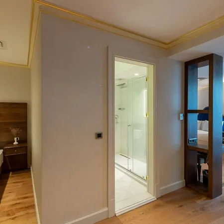 Отель Bvs Bosphorus Pera 4*